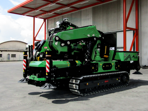 Gepersonaliseerd Kleur