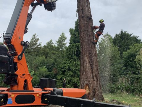 318292233_572008731597868_3918653437038725353_n